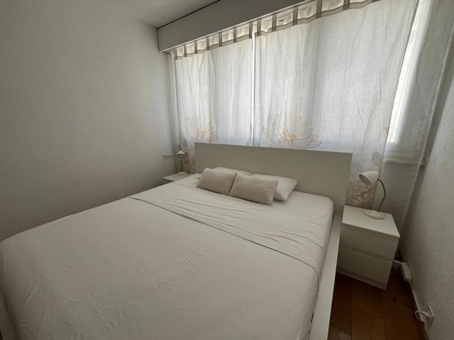 85m2 Au Centre-ville à 2 Pas Du Jet D'eau Appartement Genève