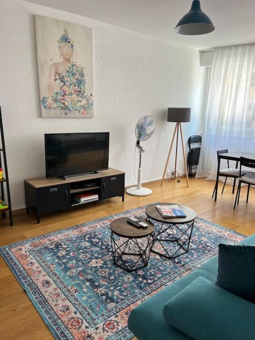 85m2 Au Centre-ville A 2 Pas Du Jet D'eau *