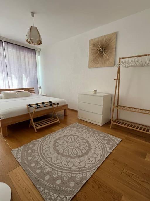 Apartment 85m2 Au Centre-ville A 2 Pas Du Jet D'eau